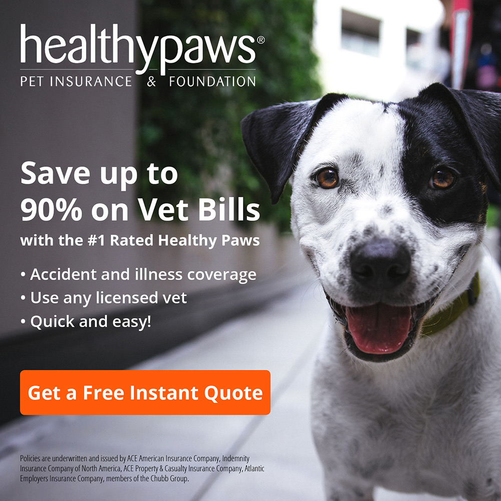 Healthy Paws | Insurance